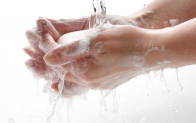 food hygiene matters washing hands